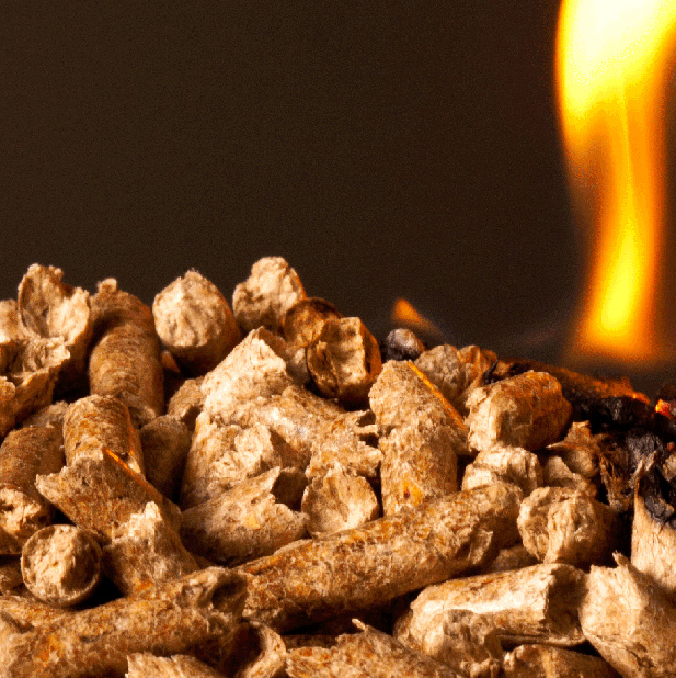 Vendita pellet